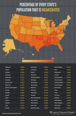 Productivity Lost Due to Incarceration in the United States | Laguna Treatment