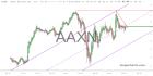 slopechart_AAXN.jpg