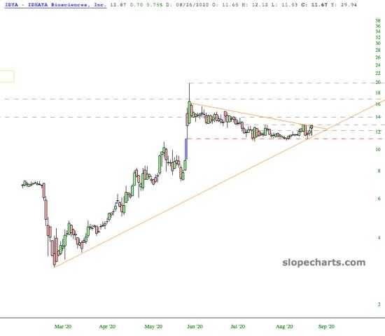slopechart_IDYA.jpg