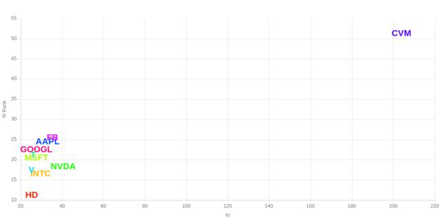 VolatilityGrid_AAPL,CVM,FB,GOOGL,HD,INTC,MSFT,NVDA,T,V.jpg
