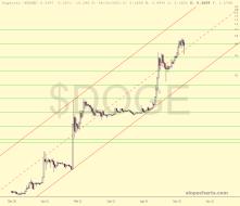slopechart_$DOGE.jpg