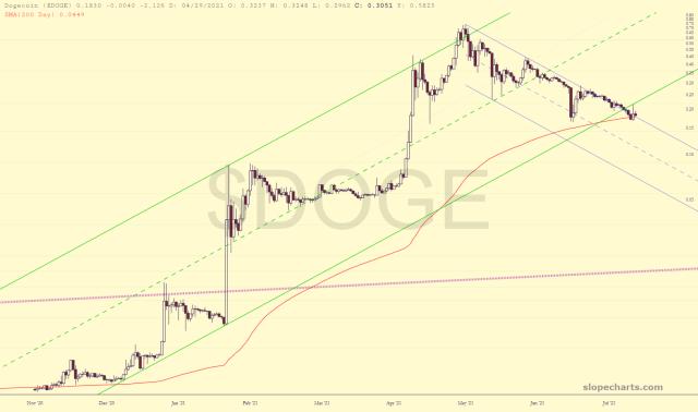 slopechart_$DOGE.jpg