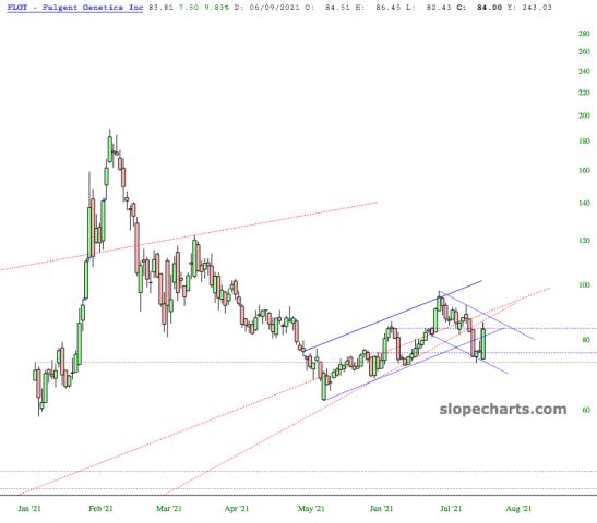 slopechart_FLGT.jpg