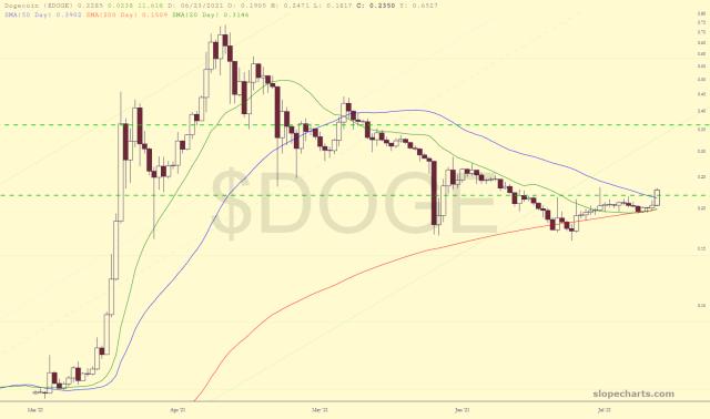 slopechart_$DOGE.jpg