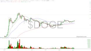 slopechart_$DOGE.jpg