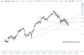 slopechart_ZS.jpg