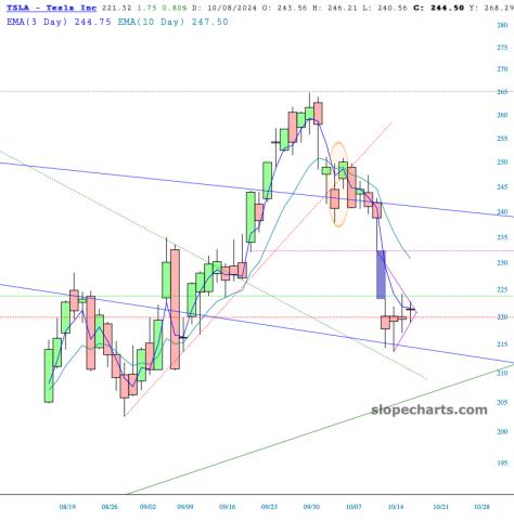 slopechart_TSLA.jpg