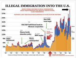 illegal immigration.jpg (1153×890)