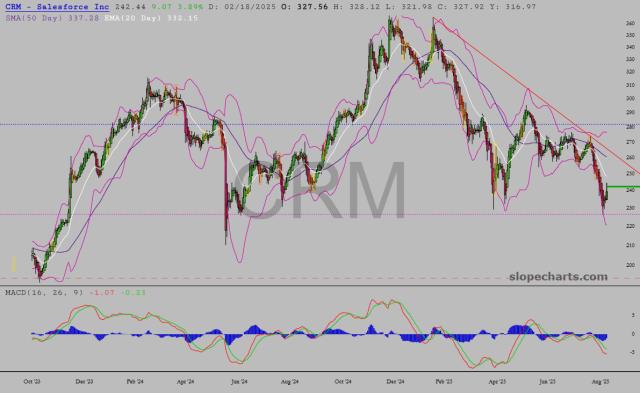 slopechart_CRM.jpg